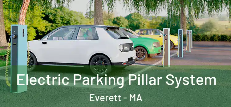 Electric Parking Pillar System Everett - MA